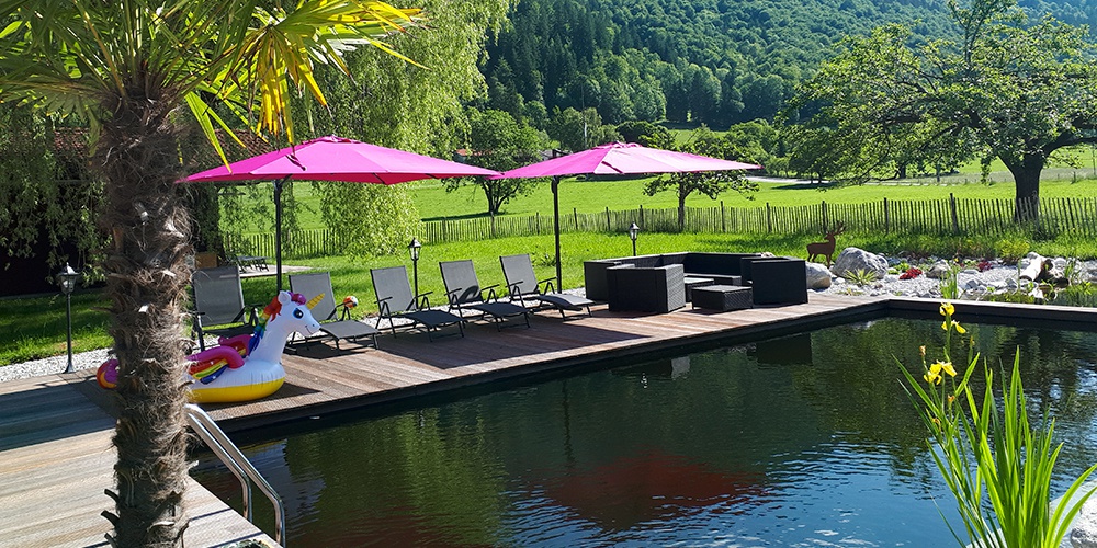 Gutfelder Hof - Schwimmteich und Wellnessgarten