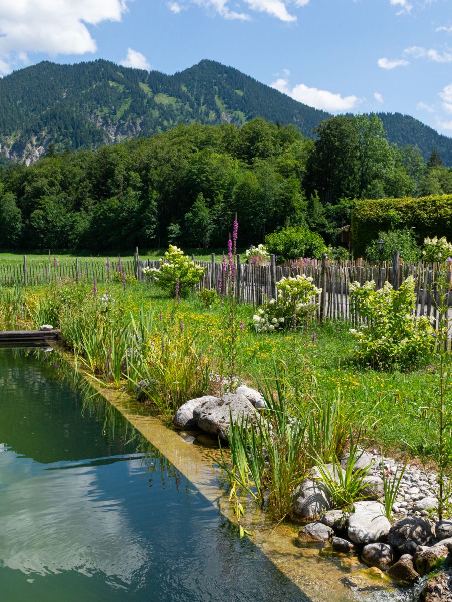 Schwimmteich und Bergblick beim Gästehaus in Rottach-Egern